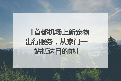 首都机场上新宠物出行服务，从家门一站抵达目的地