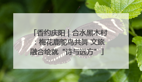 香约庆阳｜合水黑木村：梅花鹿鸵鸟共舞 文旅融合绘就“诗与远方”