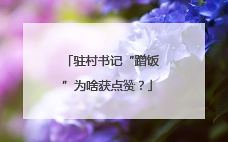 驻村书记“蹭饭”为啥获点赞？