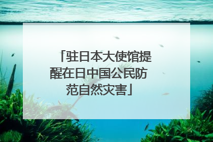 驻日本大使馆提醒在日中国公民防范自然灾害