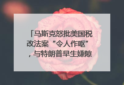 马斯克怒批美国税改法案“令人作呕”，与特朗普早生嫌隙？｜国际识局