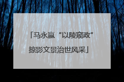 马永嬴“以陵窥政” 掠影文景治世风采