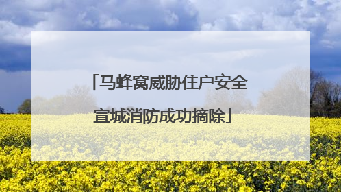 马蜂窝威胁住户安全 宣城消防成功摘除