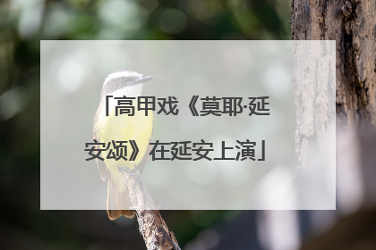 高甲戏《莫耶·延安颂》在延安上演