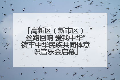 高新区（新市区）“丝路回响 爱我中华”铸牢中华民族共同体意识音乐会启幕