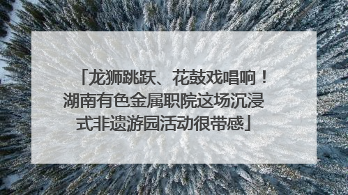 龙狮跳跃、花鼓戏唱响！湖南有色金属职院这场沉浸式非遗游园活动很带感