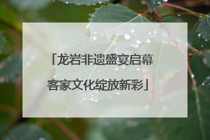龙岩非遗盛宴启幕 客家文化绽放新彩