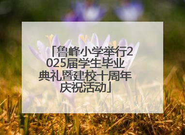 鲁峰小学举行2025届学生毕业典礼暨建校十周年庆祝活动