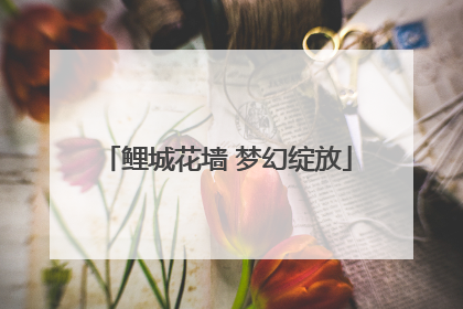 鲤城花墙 梦幻绽放