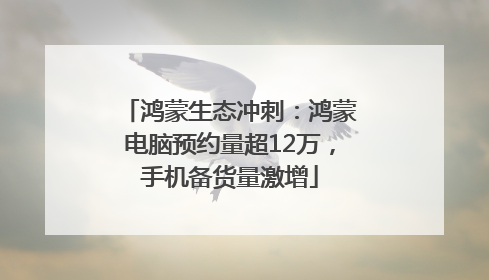 鸿蒙生态冲刺：鸿蒙电脑预约量超12万，手机备货量激增