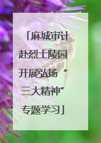 麻城审计赴烈士陵园开展弘扬“三大精神”专题学习