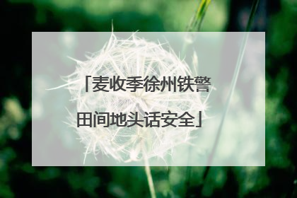 麦收季徐州铁警田间地头话安全