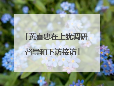 黄喜忠在上犹调研督导和下访接访