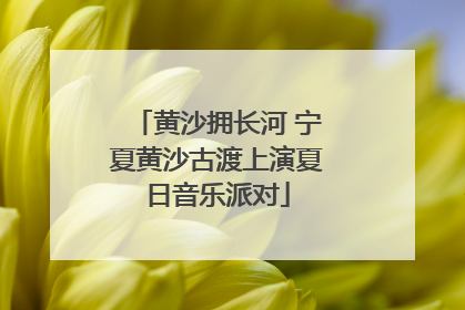 黄沙拥长河 宁夏黄沙古渡上演夏日音乐派对