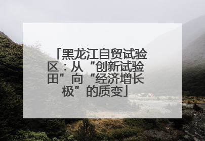 黑龙江自贸试验区：从“创新试验田”向“经济增长极”的质变