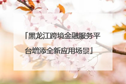 黑龙江跨境金融服务平台增添全新应用场景