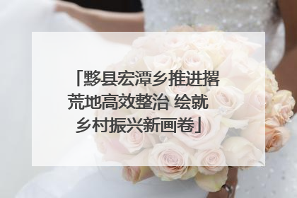 黟县宏潭乡推进撂荒地高效整治 绘就乡村振兴新画卷