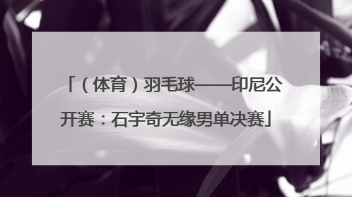 （体育）羽毛球——印尼公开赛：石宇奇无缘男单决赛