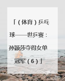 （体育）乒乓球——世乒赛：孙颖莎夺得女单冠军（6）
