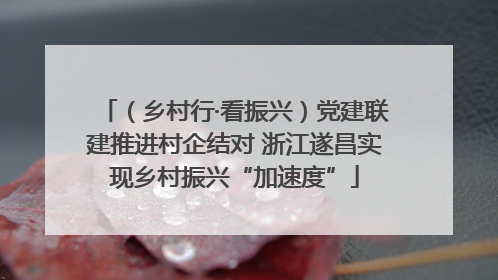 （乡村行·看振兴）党建联建推进村企结对 浙江遂昌实现乡村振兴“加速度”