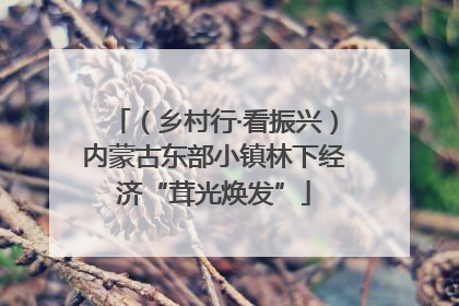 （乡村行·看振兴）内蒙古东部小镇林下经济“茸光焕发”