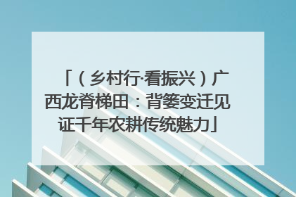 （乡村行·看振兴）广西龙脊梯田：背篓变迁见证千年农耕传统魅力