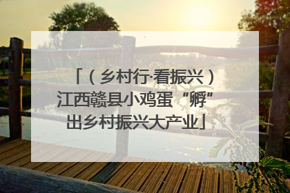 （乡村行·看振兴）江西赣县小鸡蛋“孵”出乡村振兴大产业