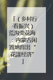 （乡村行·看振兴）荒沟变花海：内蒙古闲置地育出“花漾经济”
