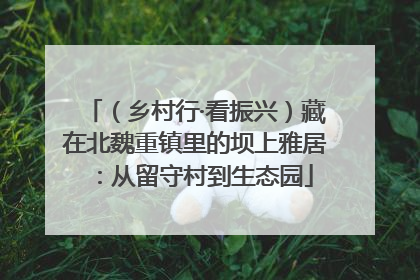 （乡村行·看振兴）藏在北魏重镇里的坝上雅居：从留守村到生态园