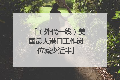 （外代一线）美国最大港口工作岗位减少近半