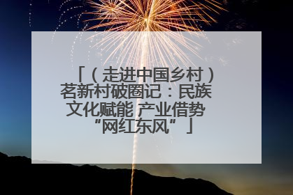 （走进中国乡村）茗新村破圈记：民族文化赋能 产业借势 “网红东风”