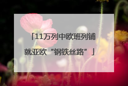 11万列中欧班列铺就亚欧“钢铁丝路”