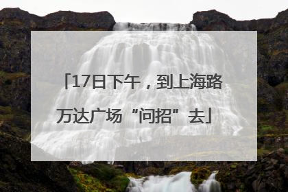 17日下午，到上海路万达广场“问招”去