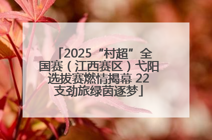 2025“村超”全国赛（江西赛区）弋阳选拔赛燃情揭幕 22支劲旅绿茵逐梦