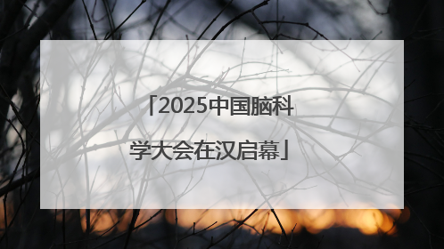 2025中国脑科学大会在汉启幕