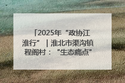 2025年“政协江淮行”｜淮北市渠沟镇程阁村：“生态痛点”变“生态景观”