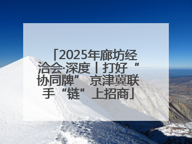2025年廊坊经洽会·深度丨打好“协同牌” 京津冀联手“链”上招商
