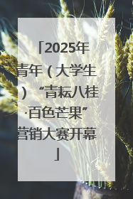 2025年青年（大学生）“青耘八桂·百色芒果”营销大赛开幕
