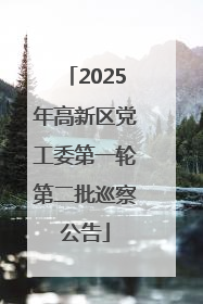 2025年高新区党工委第一轮第二批巡察公告