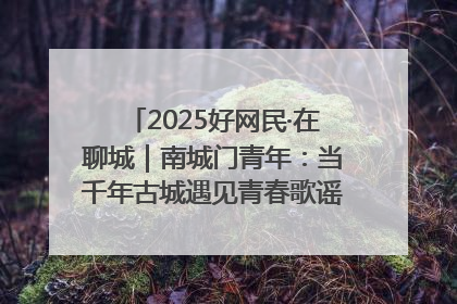 2025好网民·在聊城｜南城门青年：当千年古城遇见青春歌谣 一湖碧水见证的“聊城式浪漫”