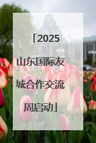 2025山东国际友城合作交流周启动