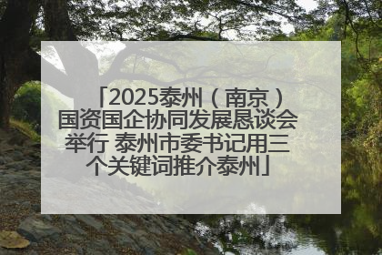 2025泰州（南京）国资国企协同发展恳谈会举行 泰州市委书记用三个关键词推介泰州