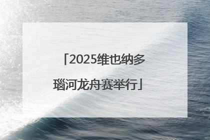 2025维也纳多瑙河龙舟赛举行