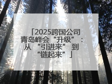 2025跨国公司青岛峰会“升级”：从 “引进来” 到 “链起来”