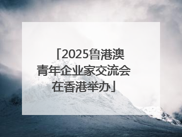 2025鲁港澳青年企业家交流会在香港举办
