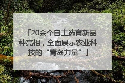 20余个自主选育新品种亮相，全面展示农业科技的“青岛力量”