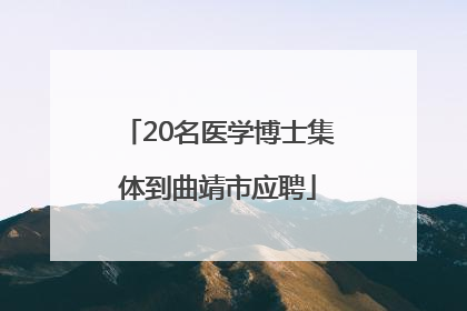 20名医学博士集体到曲靖市应聘