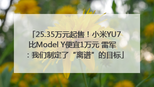 25.35万元起售！小米YU7比Model Y便宜1万元 雷军：我们制定了“离谱”的目标