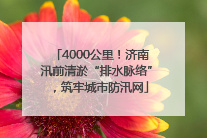 4000公里！济南汛前清淤“排水脉络”，筑牢城市防汛网