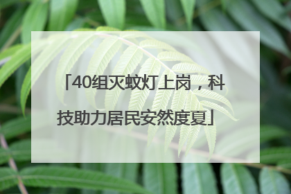 40组灭蚊灯上岗，科技助力居民安然度夏